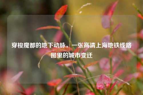 穿梭魔都的地下动脉，一张高清上海地铁线路图里的城市变迁