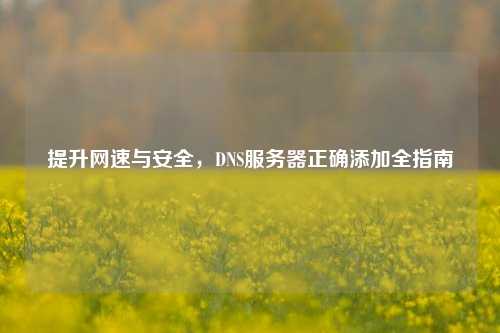提升网速与安全，DNS服务器正确添加全指南