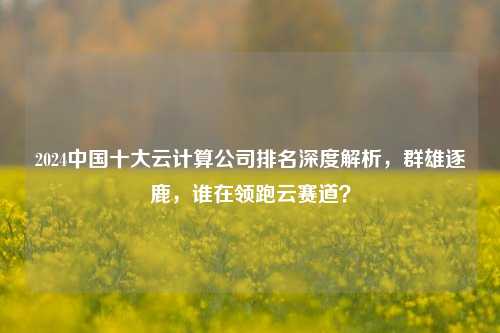 2024中国十大云计算公司排名深度解析，群雄逐鹿，谁在领跑云赛道？