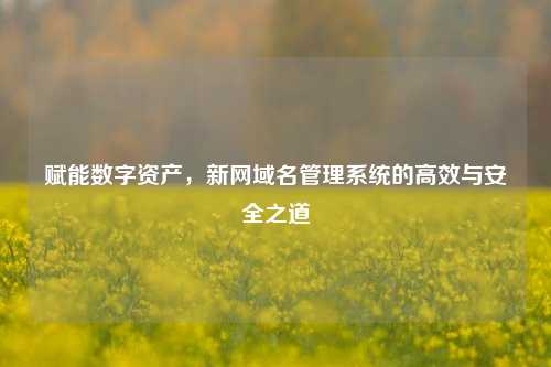 赋能数字资产，新网域名管理系统的高效与安全之道