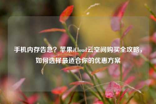 手机内存告急？苹果iCloud云空间购买全攻略，如何选择最适合你的优惠方案