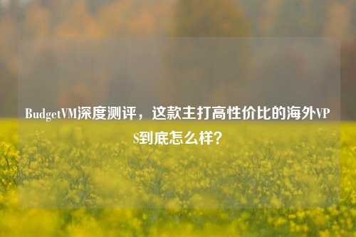BudgetVM深度测评，这款主打高性价比的海外VPS到底怎么样？