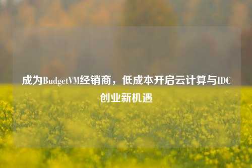 成为BudgetVM经销商，低成本开启云计算与IDC创业新机遇