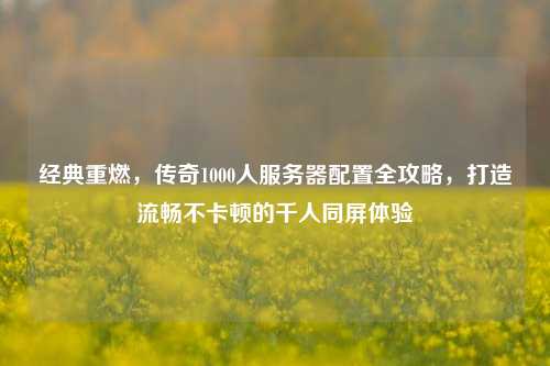 经典重燃，传奇1000人服务器配置全攻略，打造流畅不卡顿的千人同屏体验