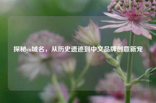 探秘yu域名，从历史遗迹到中文品牌创意新宠