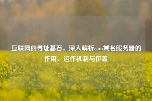 互联网的寻址基石，深入解析com域名服务器的作用、运作机制与位置