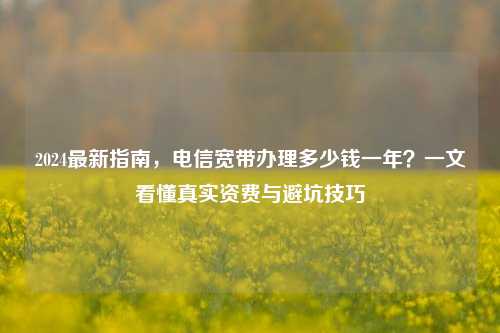 2024最新指南，电信宽带办理多少钱一年？一文看懂真实资费与避坑技巧