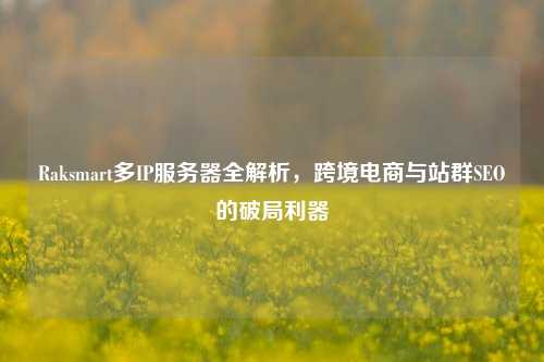 Raksmart多IP服务器全解析,跨境电商与站群SEO的破局利器