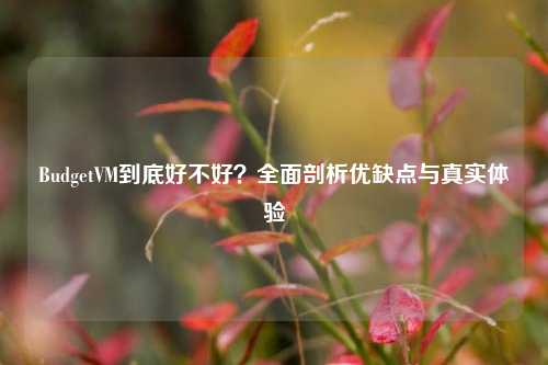 BudgetVM到底好不好？全面剖析优缺点与真实体验
