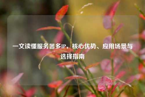一文读懂服务器多IP，核心优势、应用场景与选择指南