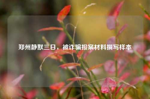 郑州静默三日，被诈骗报案材料撰写样本