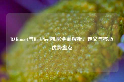 RAKsmart与RackNerd机房全面解析，定义与核心优势盘点