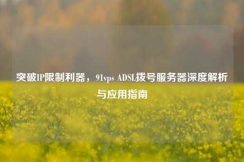 突破IP限制利器，91vps ADSL拨号服务器深度解析与应用指南
