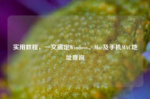 实用教程，一文搞定Windows、Mac及手机MAC地址查询