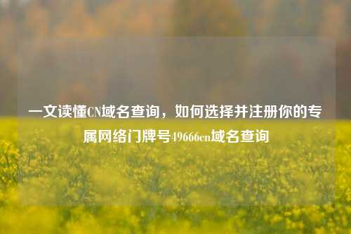 一文读懂CN域名查询，如何选择并注册你的专属网络门牌号49666cn域名查询