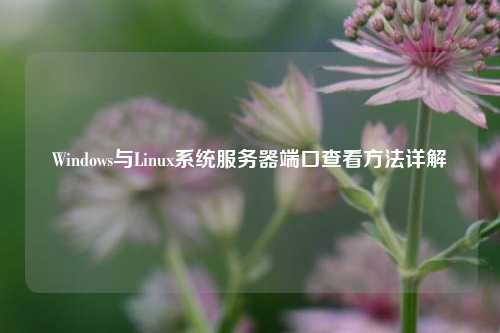 Windows与Linux系统服务器端口查看方法详解