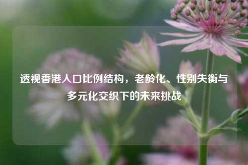 透视香港人口比例结构,老龄化、性别失衡与多元化交织下的未来挑战
