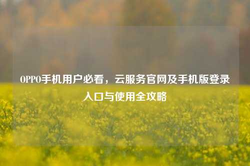 OPPO手机用户必看，云服务官网及手机版登录入口与使用全攻略