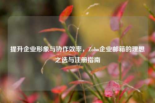 提升企业形象与协作效率，Zoho企业邮箱的理想之选与注册指南