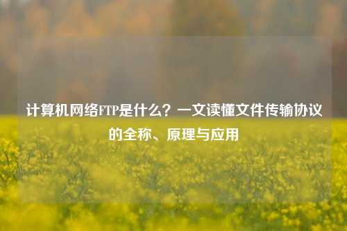 计算机网络FTP是什么？一文读懂文件传输协议的全称、原理与应用