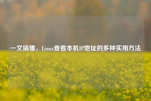 一文搞懂，Linux查看本机IP地址的多种实用方法