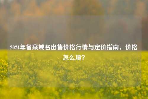 2024年备案域名出售价格行情与定价指南,价格怎么填?