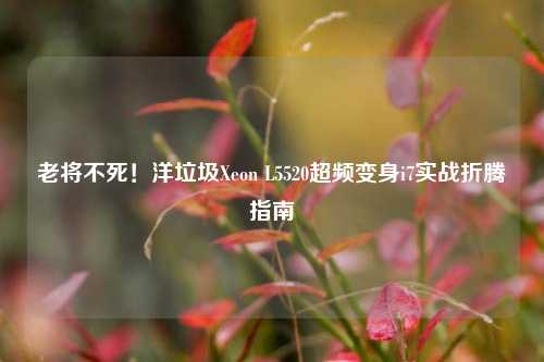 老将不死！洋垃圾Xeon L5520超频变身i7实战折腾指南