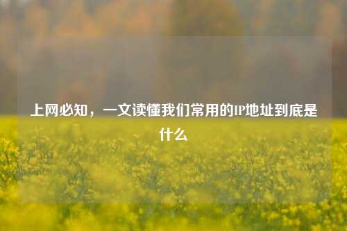 上网必知，一文读懂我们常用的IP地址到底是什么