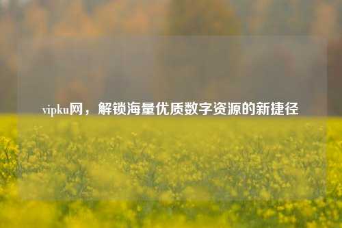 vipku网,解锁海量优质数字资源的新捷径