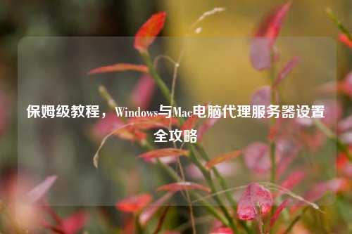 保姆级教程，Windows与Mac电脑代理服务器设置全攻略