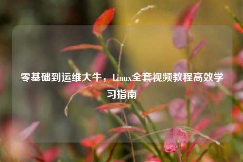 零基础到运维大牛，Linux全套视频教程高效学习指南