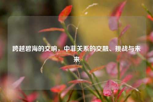 跨越碧海的交响，中菲关系的交融、挑战与未来
