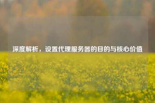 深度解析，设置代理服务器的目的与核心价值