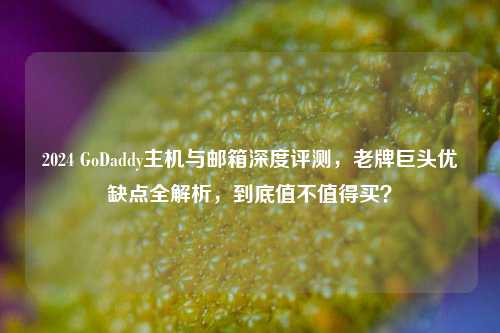 2024 GoDaddy主机与邮箱深度评测,老牌巨头优缺点全解析,到底值不值得买?