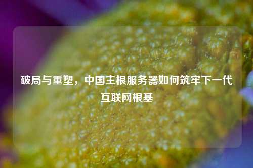 破局与重塑，中国主根服务器如何筑牢下一代互联网根基