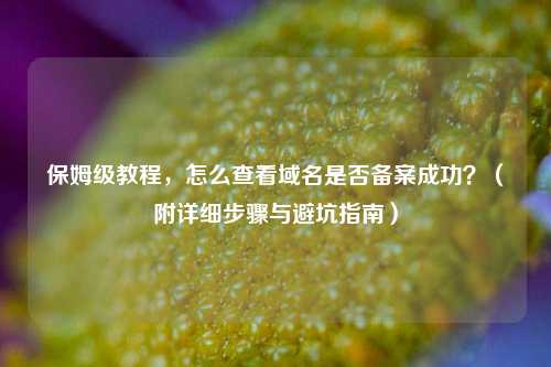 保姆级教程，怎么查看域名是否备案成功？（附详细步骤与避坑指南）