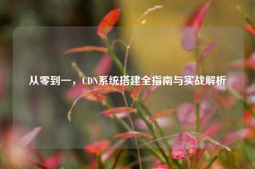 从零到一，CDN系统搭建全指南与实战解析