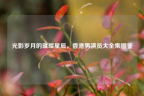 光影岁月的璀璨星辰，香港男演员大全集图鉴
