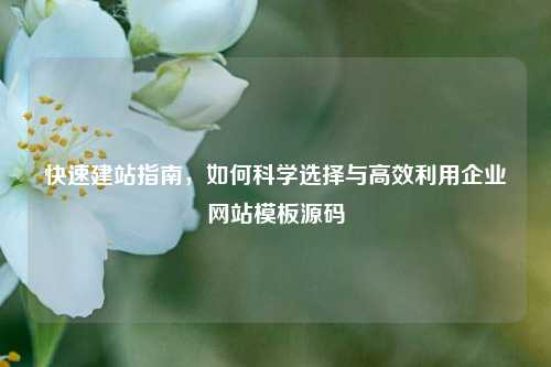 快速建站指南，如何科学选择与高效利用企业网站模板源码