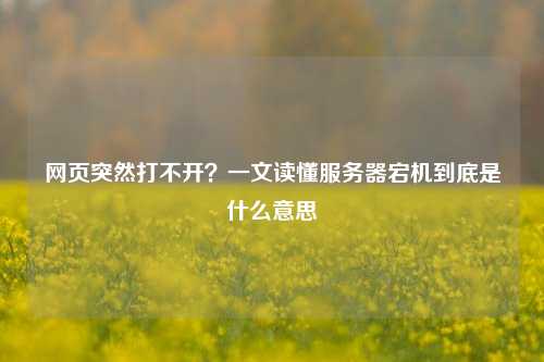 网页突然打不开？一文读懂服务器宕机到底是什么意思