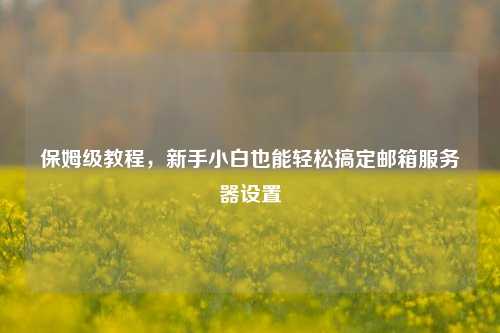 保姆级教程，新手小白也能轻松搞定邮箱服务器设置