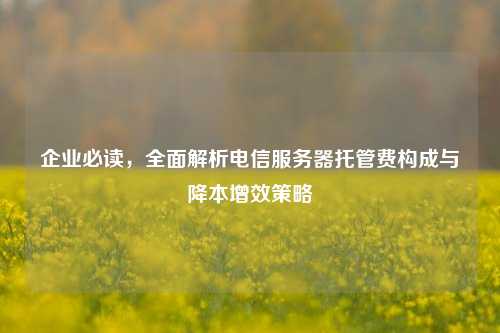 企业必读，全面解析电信服务器托管费构成与降本增效策略
