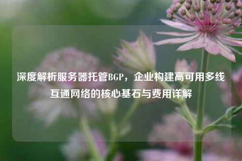 深度解析服务器托管BGP，企业构建高可用多线互通网络的核心基石与费用详解