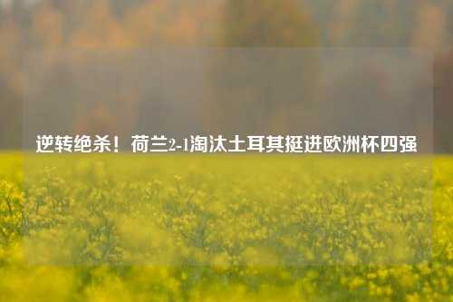 逆转绝杀！荷兰2-1淘汰土耳其挺进欧洲杯四强