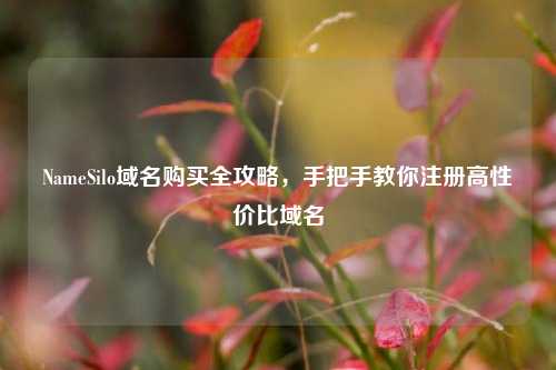 NameSilo域名购买全攻略，手把手教你注册高性价比域名