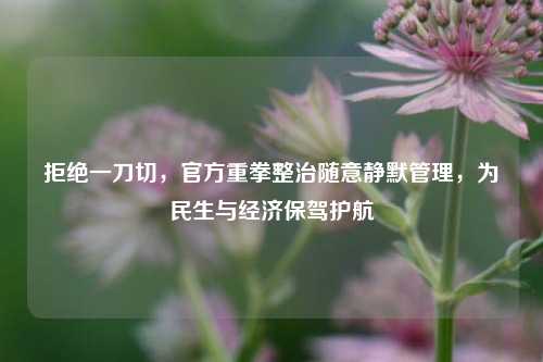 拒绝一刀切，官方重拳整治随意静默管理，为民生与经济保驾护航