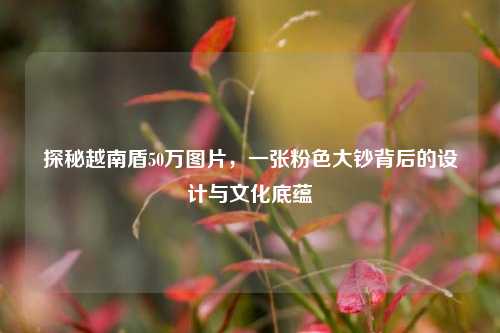 探秘越南盾50万图片，一张粉色大钞背后的设计与文化底蕴