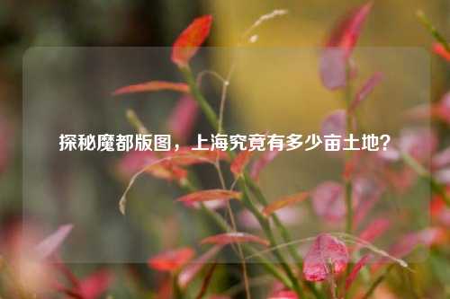探秘魔都版图，上海究竟有多少亩土地？