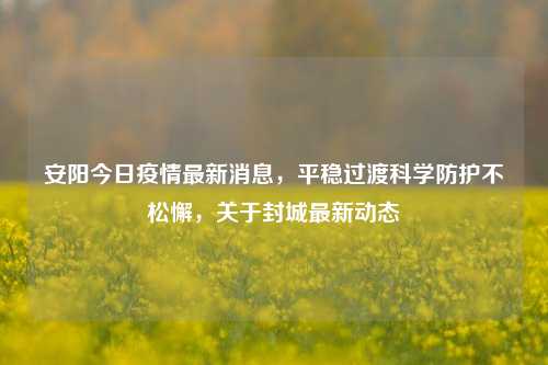 安阳今日疫情最新消息，平稳过渡科学防护不松懈，关于封城最新动态