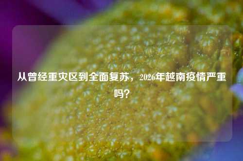 从曾经重灾区到全面复苏，2026年越南疫情严重吗？